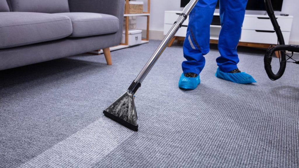 carpet rug and upholstery cleaning​